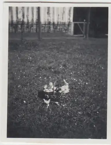 (F23254) Orig. Mini-Foto Osternest im Garten 1936