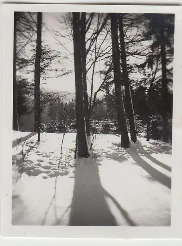 (F23093) Orig. Mini-Foto Winter in Würbenthal, 1932