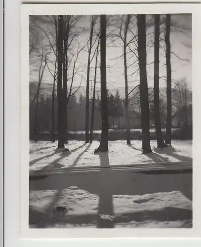 (F23092) Orig. Mini-Foto Winter in Würbenthal, 1932