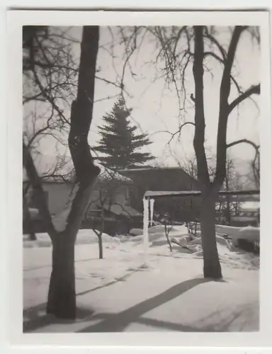 (F23091) Orig. Mini-Foto Winter in Würbenthal, 1932