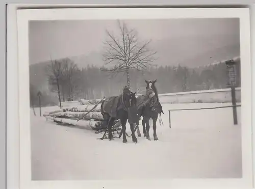 (F23084) Orig. Mini-Foto Winter in Würbenthal, Baumstamm-Transport 1932