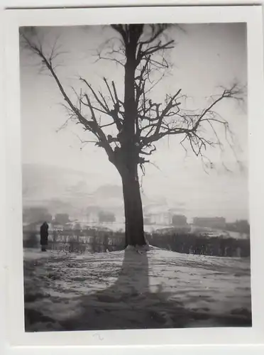 (F23076) Orig. Mini-Foto Winter in Würbenthal, Landschaftspartie 1932