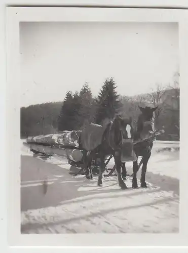 (F23074) Orig. Mini-Foto Winter in Würbenthal, Baumstamm-Transport 1932