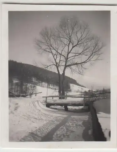 (F23073) Orig. Mini-Foto Winter in Würbenthal, Landschaftspartie 1932