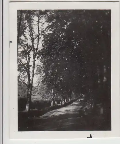 (F23032) Orig. Mini-Foto Leipnik, Lipník nad Be?vou, Alle n. Helferstein 1932