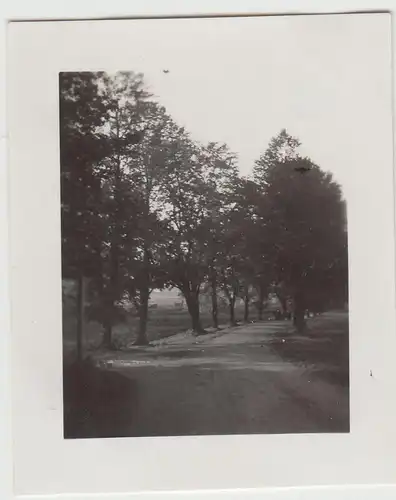 (F22962) Orig. Mini-Foto Straße, Allee bei Würbenthal 1932