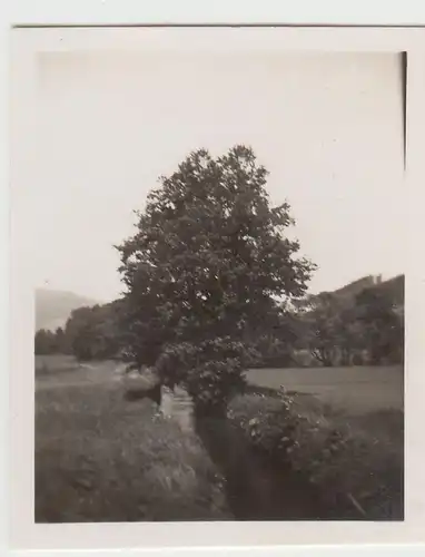 (F22821) Orig. Mini-Foto Würbenthal, Partie am Fluss 1932