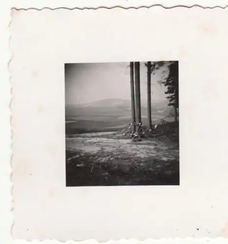 (F22734) Orig. Mini-Foto Fahrrad lehnt am Baum, möglw. Oybin o. Umgebung 1940er