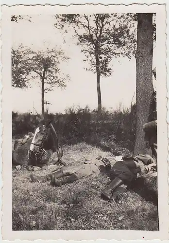 (F22684) Orig. Foto deutsche Soldaten und Pferde ruhen, Belgien 1940