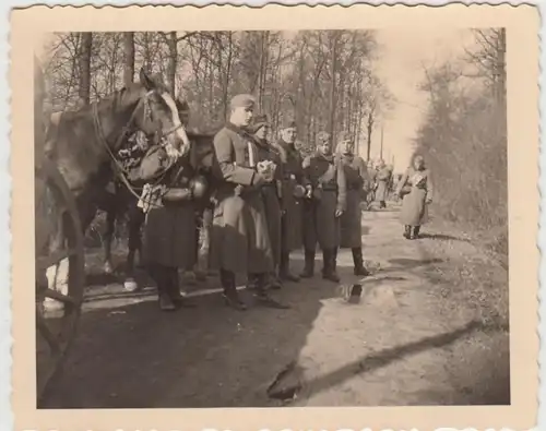 (F22682) Orig. Foto deutsche Soldaten unterwegs mit Pferden, Belgien 1940