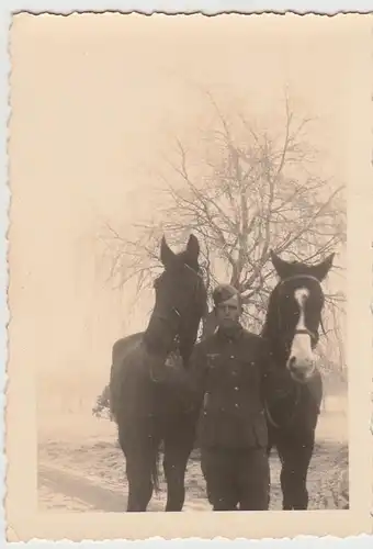 (F22676) Orig. Foto deutscher Soldat mit Pferden, Belgien 1940