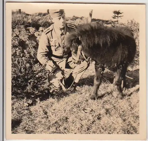 (F22615) Orig. Foto deutscher Soldat mit Pony 1937