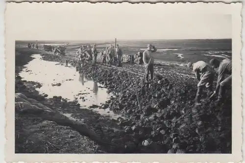 (F22587) Orig. Foto Sturmflutschaden in oder bei Garding 1936/37, Beräumung