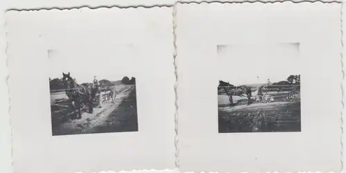 (F22460) 2x Orig. Mini-Foto Pferdegespann auf dem Feld 1939