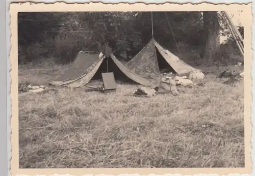 (F22384) Orig. Foto kleines Zeltlager, Ruder lehnen am Baum 1950er