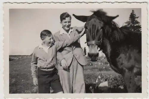 (F22306) Orig. Foto zwei Jungs mit Pferd im Freien 1930er