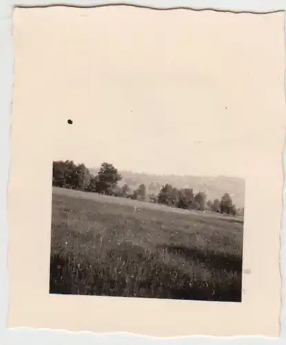 (F22173) Orig. Mini-Foto Landschaft in Weismes 1940