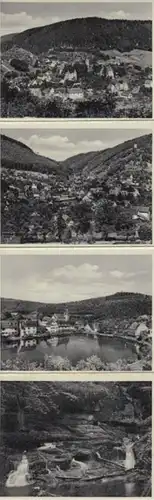 (F221) Original Foto Nagoldtal, Leporello mit 12 Fotos