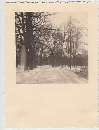 (F21908) Orig. Foto Bamberg, Winterpartie im Stadtpark Hain 1939