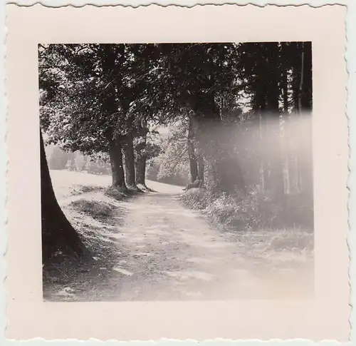 (F21883) Orig. Foto Bad Reichenhall, Waldweg 1938