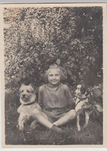 (F21808) Orig. Foto kleines Mädchen Ilse Maisel mit 2 Hunden im Gras 1910/20er