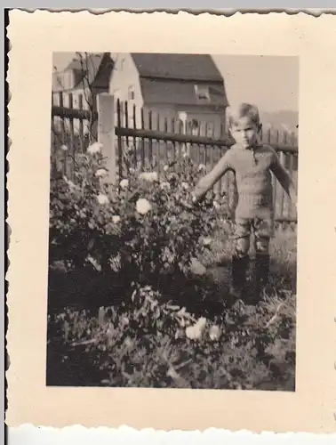 (F21465) Orig. Foto Junge im Garten 1938
