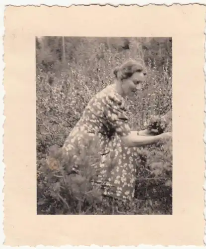 (F21380) Orig. Foto Frau pflückt Blumen 1938