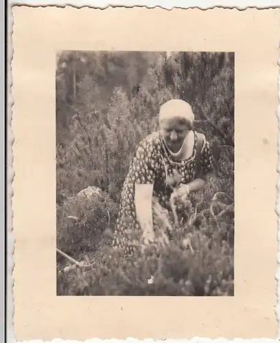 (F21377) Orig. Foto Frau pflückt Blumen 1938