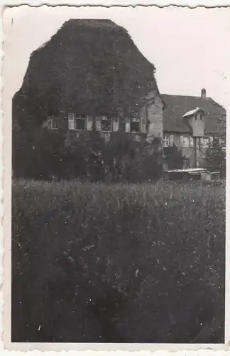 (F21295) Orig. Foto stark bewachsenes Haus 1930er
