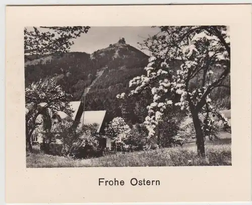 (F21205) Orig. Foto Jeschken bei Reichenberg >Frohe Ostern< 1944