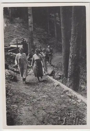 (F21050) Orig. Foto Personen wandern durch den Wald 1938