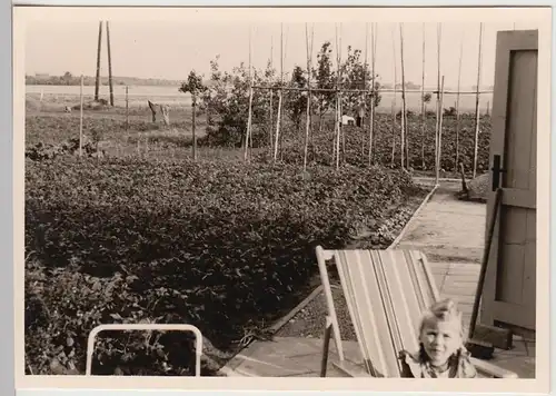 (F20968) Orig. Foto Traar, neue Wohnsiedlung 1957, Garten hinter dem Haus
