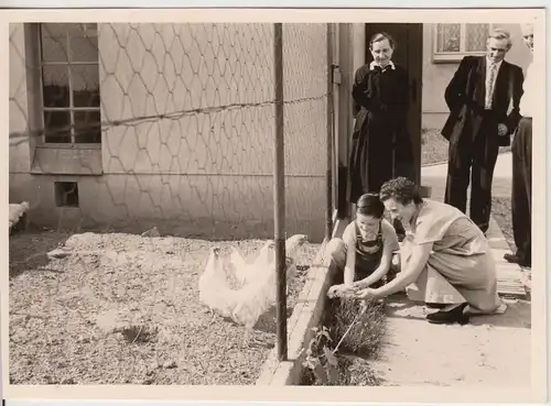 (F20911) Orig. Foto Hühner füttern durch den Maschendrahtzaun 1950er