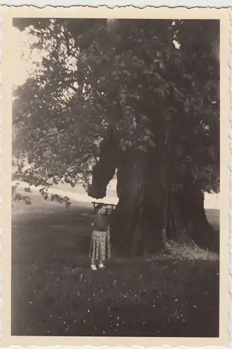 (F20894) Orig. Foto Ramsau, Frau an der Hindenburglinde 1956