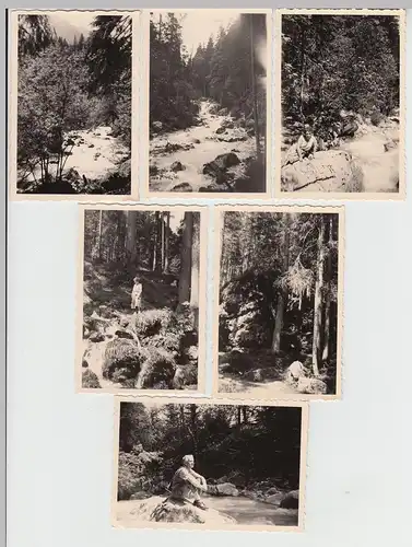 (F20882) 6x Orig. Foto Ramsau, Wald Bach, Wanderung 1956