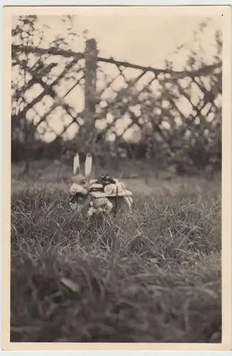 (F20615) Orig. Foto Ostern 1938, Ostergeschenk im Garten