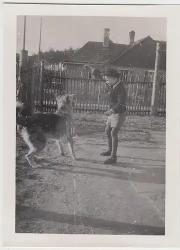(F20515) Orig. Foto Junge spielt mit Hund im Garten 1930-50er