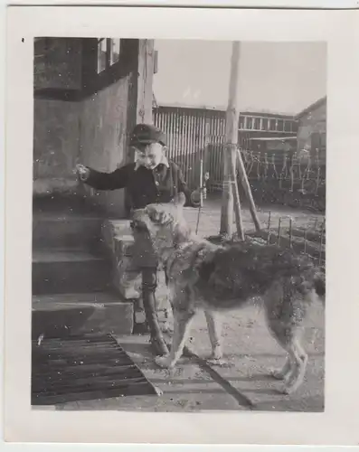 (F20514) Orig. Foto Junge mit Hund am Hauseingang 1930-50er