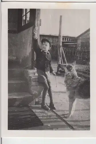 (F20513) Orig. Foto Junge mit Hund am Hauseingang 1930-50er