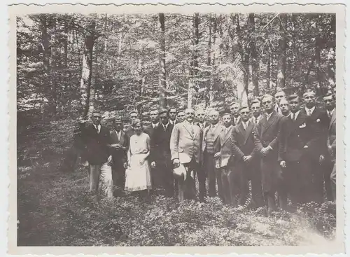 (F20460) Orig. Foto Oyle, Wandergruppe im Wald d. Oyler Berge 1931