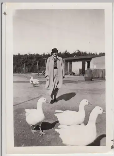 (F20379) Orig. Foto Frau mit Gänse im Freien 1930er