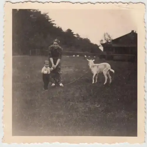 (F20245) Orig. Foto Personen mit Ziege auf Wiese 1939