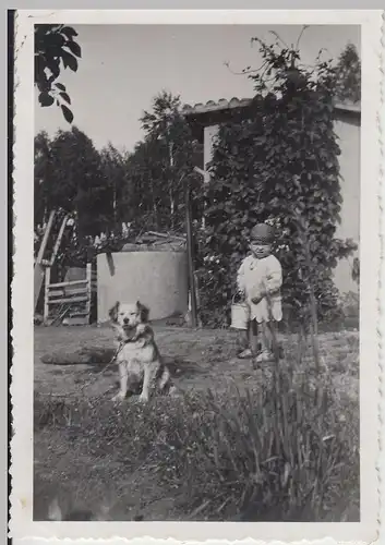 (F20241) Orig. Foto Kleinkind und Hund im Garten 1939