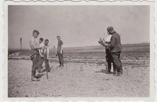 (F20227) Orig. Foto deutsche Soldaten mit Spaten auf dem Feld 1940er