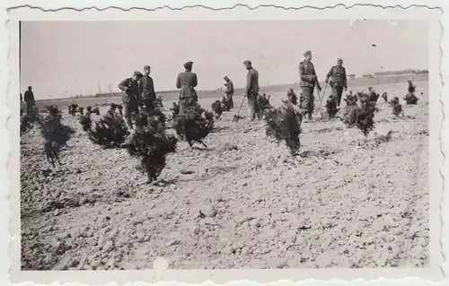 (F20225) Orig. Foto deutsche Soldaten mit Spaten auf dem Feld 1940er