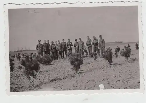 (F20223) Orig. Foto deutsche Soldaten mit Spaten auf dem Feld 1940er
