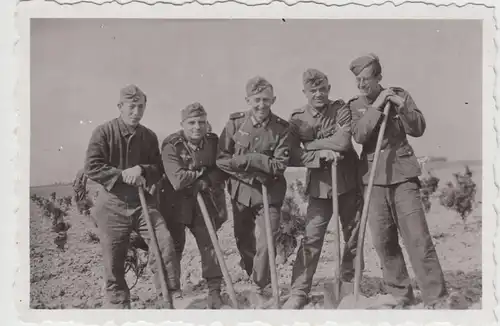 (F20222) Orig. Foto deutsche Soldaten mit Spaten auf dem Feld 1940er