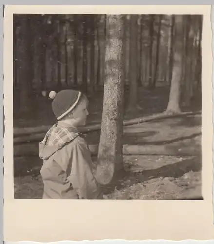 (F20148) Orig. Foto Junge im Wald, Spaziergang in Paderborn 1955