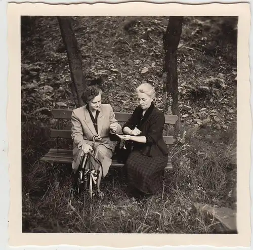 (F20111) Orig. Foto Damen auf einer Bank im Wald 1955