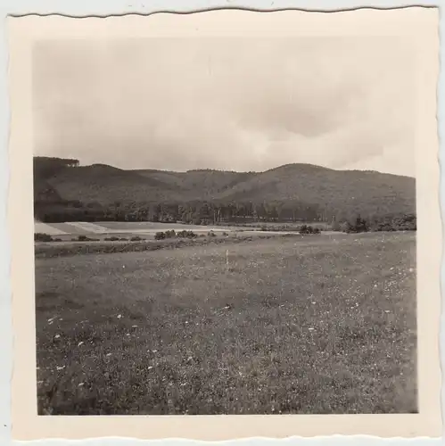 (F20075) Orig. Foto Landschaft zwischen Seesen und Goslar 1955